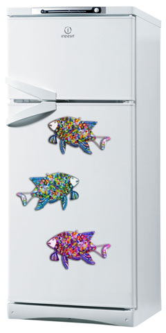 Риби на холодильнику