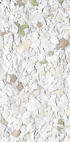 ������������ �������