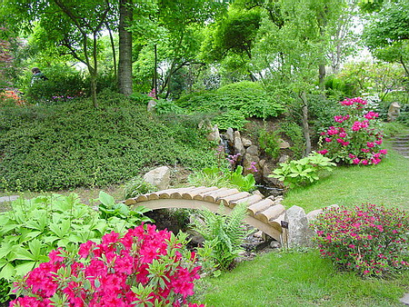 ������ � ����