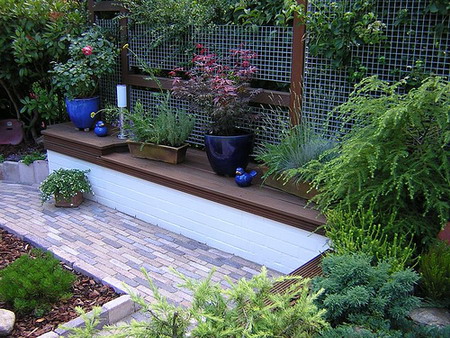 ��������� ���������� ����