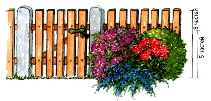 ������ �������� "�������� �������"