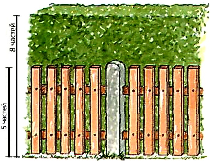 ������������� "�������� �������"