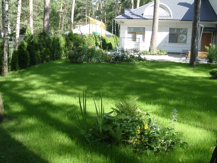 ����� � ����