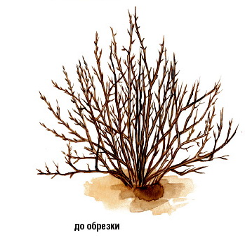 ��������� �� ����������