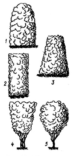 ������� �����