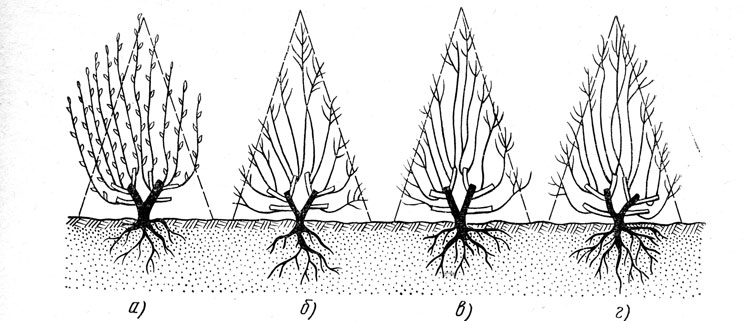 ���������� �������� � ����