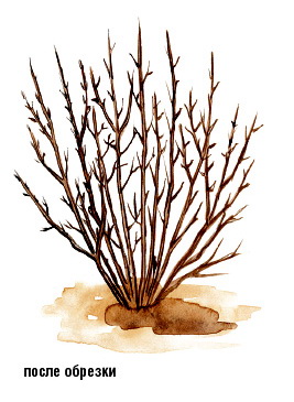 ��������� ����� ����������