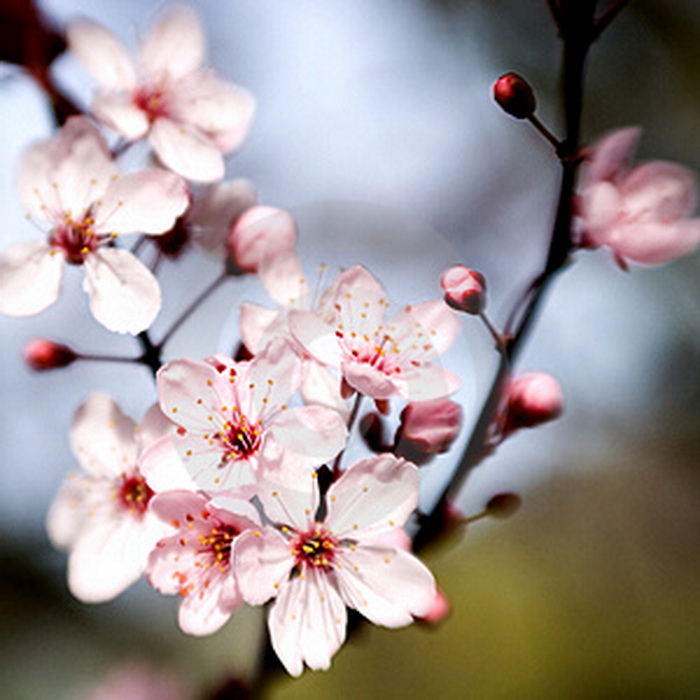 ���������� ��������� ������