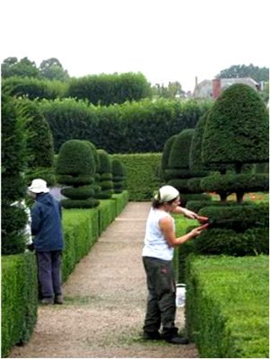 ���������� ����