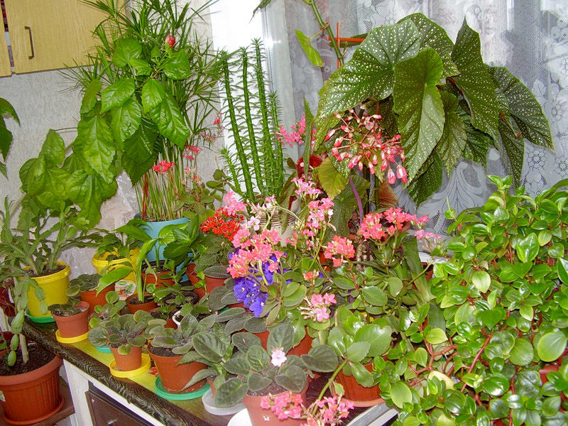 ���������� ������ � ��������� ������� ���� ���� ��������������� ��������� 