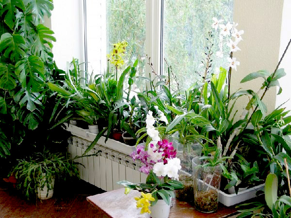  ����������� ������������� ������� � ������ ���� ����� ������� ������������ ������� ���������� 