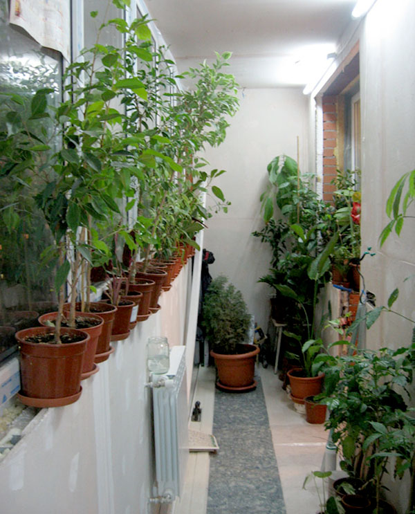 �������� ����� ���� �������� � ��������� ������