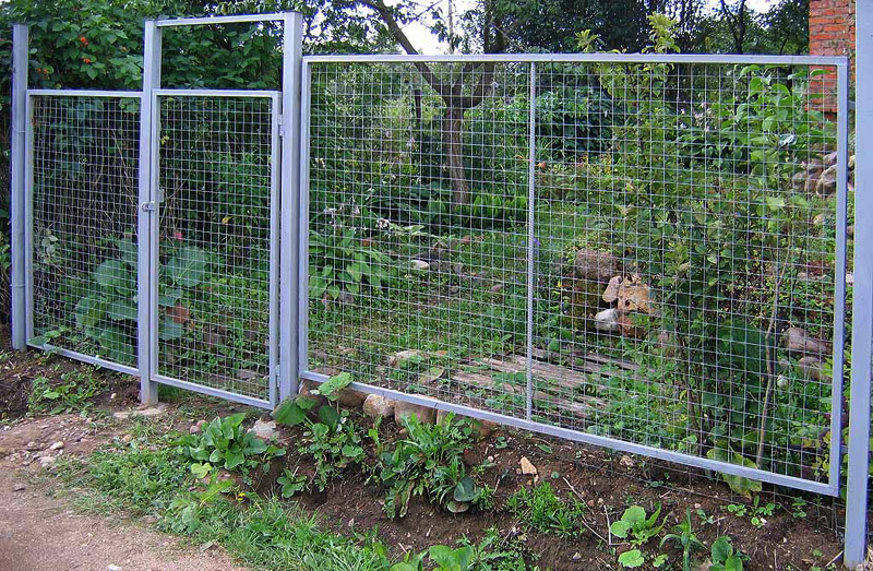 Забор из проволочной сетки в металлической раме для дачи