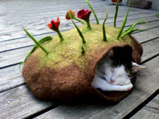 Кошачий дом