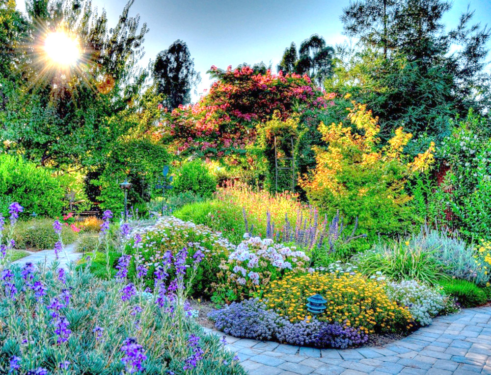 Яскрава кольорова композиція — один оптичний трюк, який робить ваш сад більшим